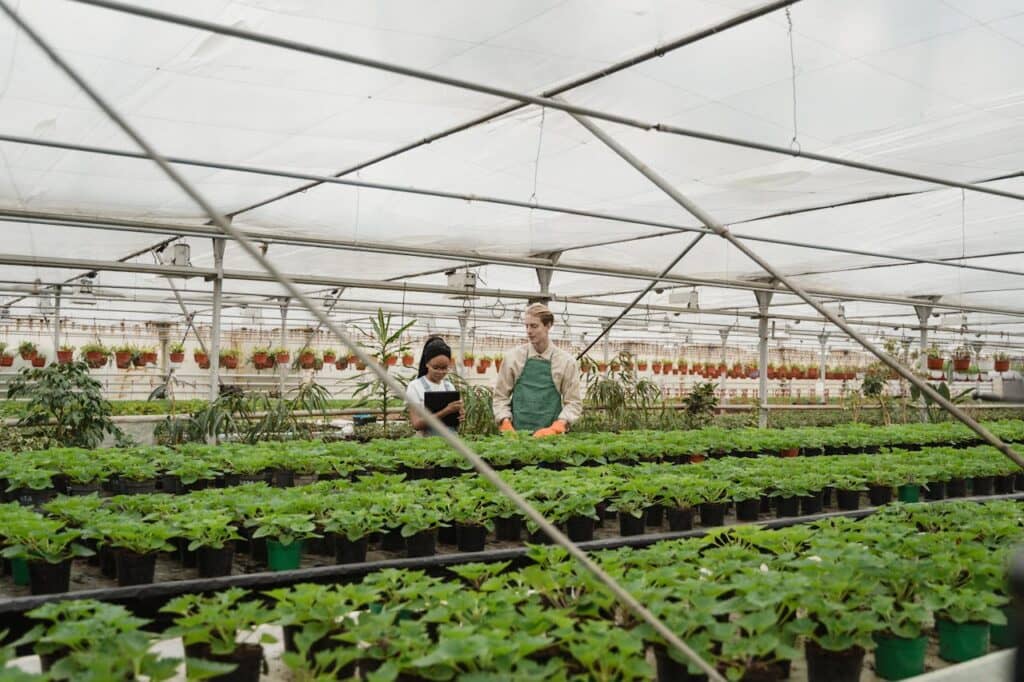 Challenges of urban farming